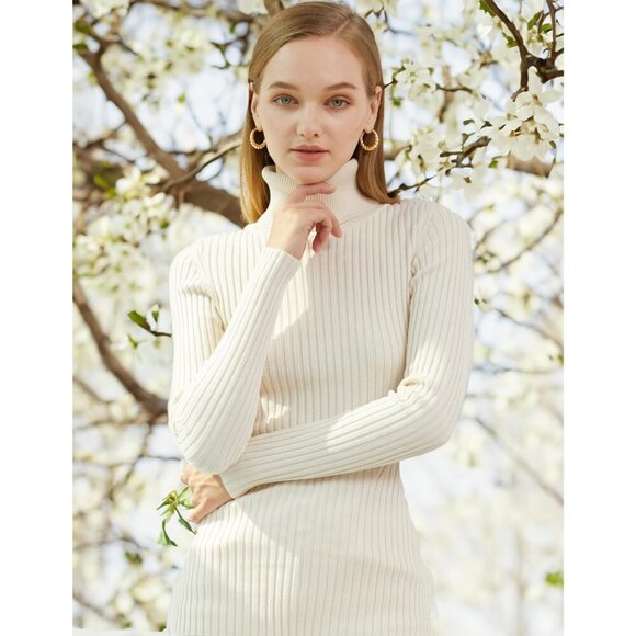 Beige Ribbed Knit Sweater Dress - Elegant Turtleneck Bodycon for Winter Bliss - Picture 2 of 5